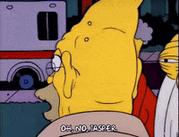 Season 2 GIF by The Simpsons