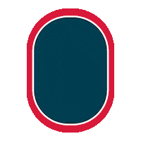 South America Travel Sticker by Norwegian Airlines