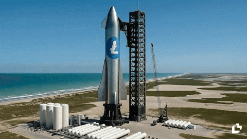 To The Moon Wow GIF by LitVM