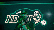 Ndsu Baseball GIF by NDSU Athletics