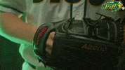 North Dakota State Bison GIF by NDSU Athletics
