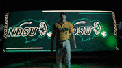 Ndsu Baseball GIF by NDSU Athletics