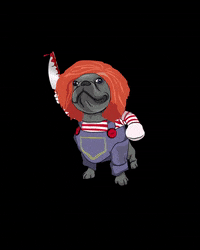 GetsLucky halloween disfraz perritos perroshalloween GIF