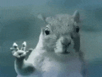 Beefsocks wave death superman squirrel GIF
