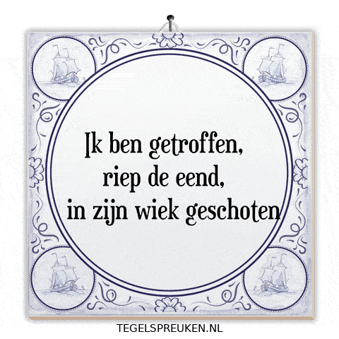 Humor Nl GIF by Tegelspreuken.nl