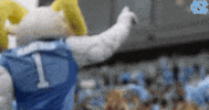 carolina football celebration GIF by UNC Tar Heels
