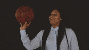 Rvc Athletics GIF by Rock Valley College