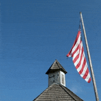 Donald Trump GIF by Team Kennedy