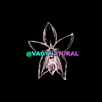 Sexo GIF by vagy natural