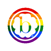 babybling rainbow baby pride b Sticker