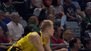 Vamos Come On GIF by ACB
