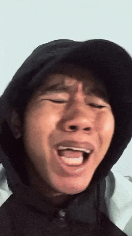 kimmypanda2 reaction meme kim reactionmeme GIF
