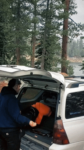 HitTheory giphyupload production hittheory hit theory GIF