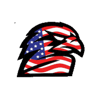 Usa America Sticker by Heights