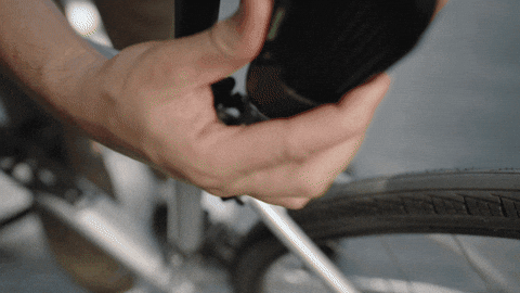 cacmelo giphyupload GIF