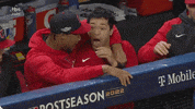 Mlb Postseason What GIF by MLB