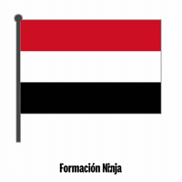 Flag Bandera GIF by Formación Ninja