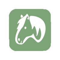 hoyfeldfumiapp horse pony pferd mash Sticker