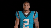 North Carolina Love GIF by Carolina Panthers