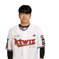 Baseball 케이티 Sticker by kt wiz