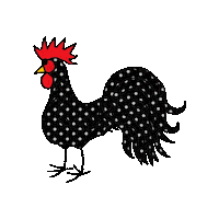 Chicken Rooster Sticker