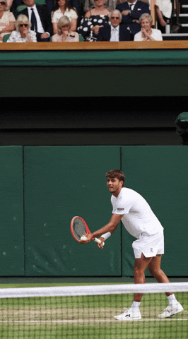 Flavio Cobolli vs Novak Djokovic Wimbledon GIF