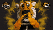 Happy College Sports GIF by College Colors Day