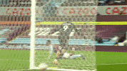 Aston Villa Football GIF by Leeds United
