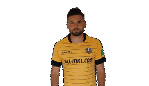 Bundesliga Celebrate Sticker by SG Dynamo Dresden