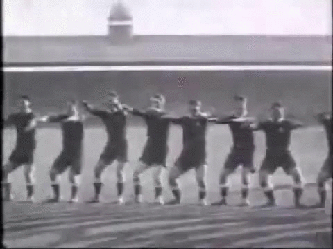 all blacks GIF