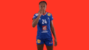 Ffhandball GIF by Fédération Française de Handball