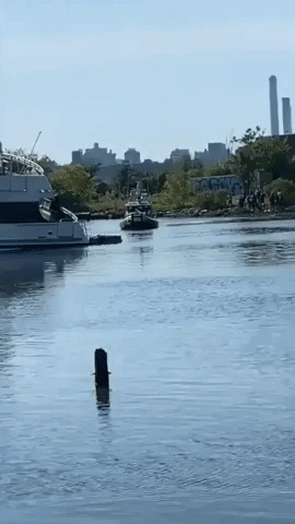 Seastreak Ferry Runs Aground in Brooklyn