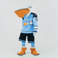 PelicansFi sports hockey mascot ice hockey GIF