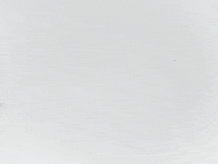 PelicansFi sports hockey mascot ice hockey GIF
