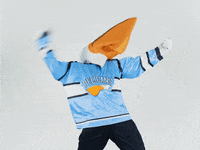 PelicansFi sports hockey mascot ice hockey GIF