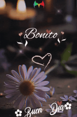 Buen Dia Flores GIF by Murcianys LLC