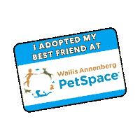 Adoption Adopt Sticker by Wallis Annenberg PetSpace