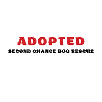 Rescue Dog Sticker by Second Chance Dog Rescue