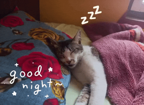 Nepalicats Goodnight Sleep Bed Sweetdream Catsleeping GIF