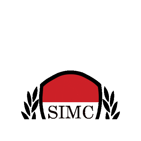 SIMCvienna giphygifmaker simc flabbergasting simconnect Sticker