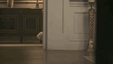 Precious GIF by CBS
