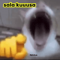 Desi Punjabi GIF