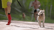 Happy Good Boy GIF by Outside TV