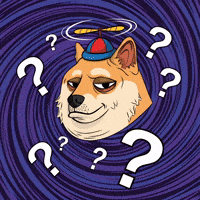 Shiba Inu What GIF by Doge Pound