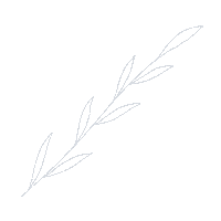 thecolorstrokes white leaves line art white leaves Sticker