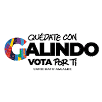 enriquegalindoceballos quedate sanluispotosi enriquegalindo votagalindo Sticker