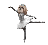 Mimi Dog Sticker
