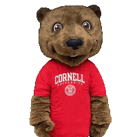 Valentines Day Love Sticker by Touchdown's Team