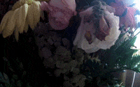 Art Video GIF by jorgemariozuleta