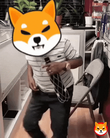 Shiba Inu GIF by SHIB MEMES